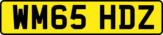 WM65HDZ