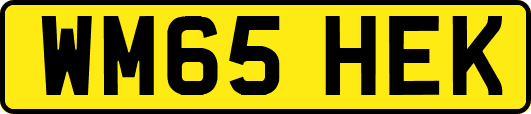 WM65HEK