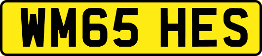 WM65HES