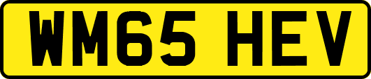 WM65HEV