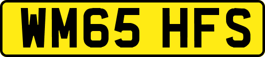WM65HFS