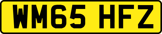 WM65HFZ