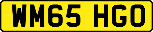WM65HGO