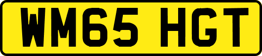WM65HGT