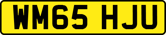 WM65HJU