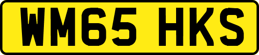 WM65HKS