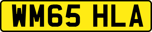 WM65HLA