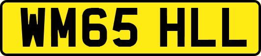WM65HLL