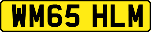 WM65HLM