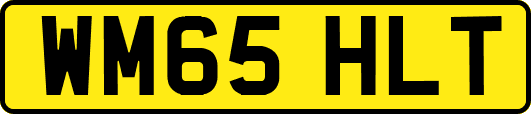 WM65HLT