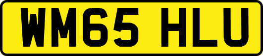 WM65HLU