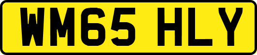 WM65HLY