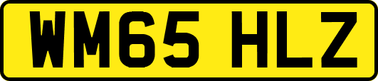 WM65HLZ