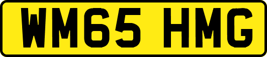 WM65HMG