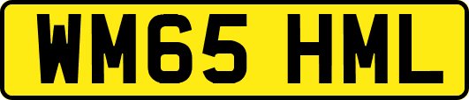 WM65HML