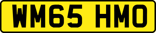 WM65HMO
