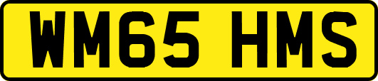 WM65HMS