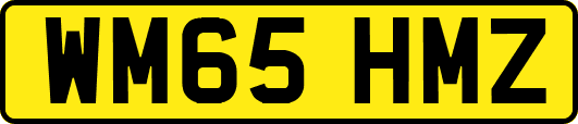 WM65HMZ