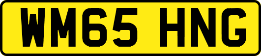 WM65HNG