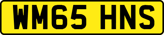 WM65HNS
