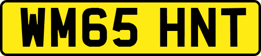 WM65HNT
