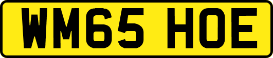 WM65HOE
