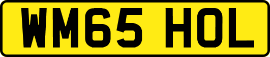 WM65HOL