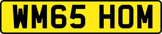 WM65HOM