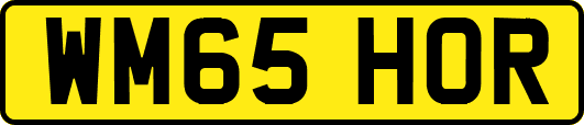 WM65HOR