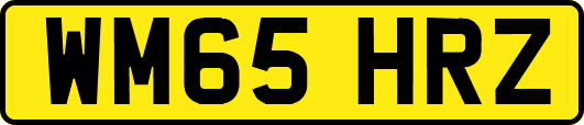 WM65HRZ