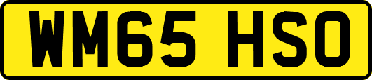 WM65HSO