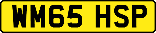 WM65HSP