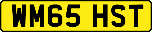 WM65HST