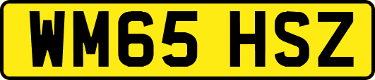 WM65HSZ