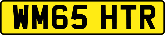 WM65HTR