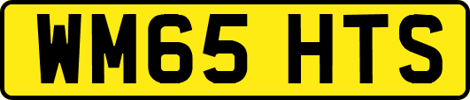 WM65HTS