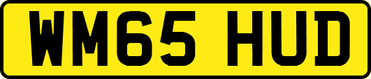 WM65HUD