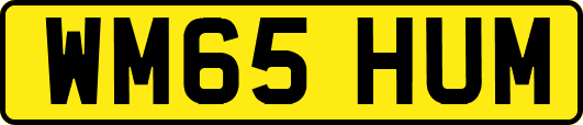 WM65HUM