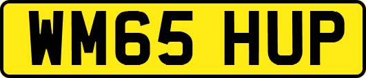 WM65HUP