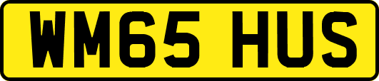 WM65HUS