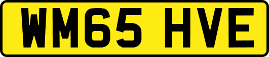 WM65HVE