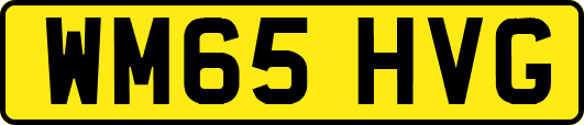 WM65HVG