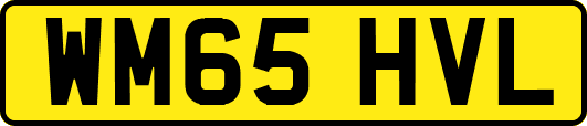 WM65HVL