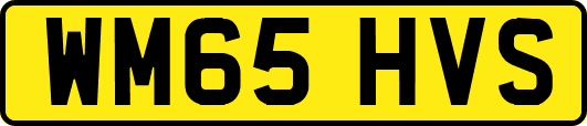 WM65HVS
