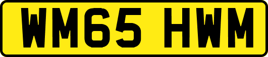 WM65HWM