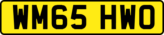 WM65HWO