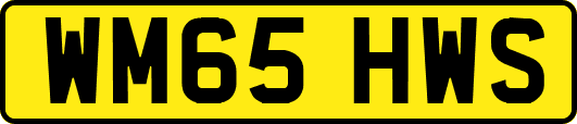 WM65HWS