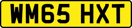 WM65HXT