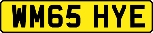 WM65HYE