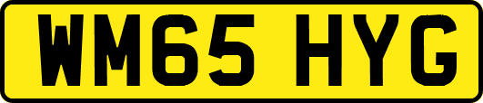 WM65HYG